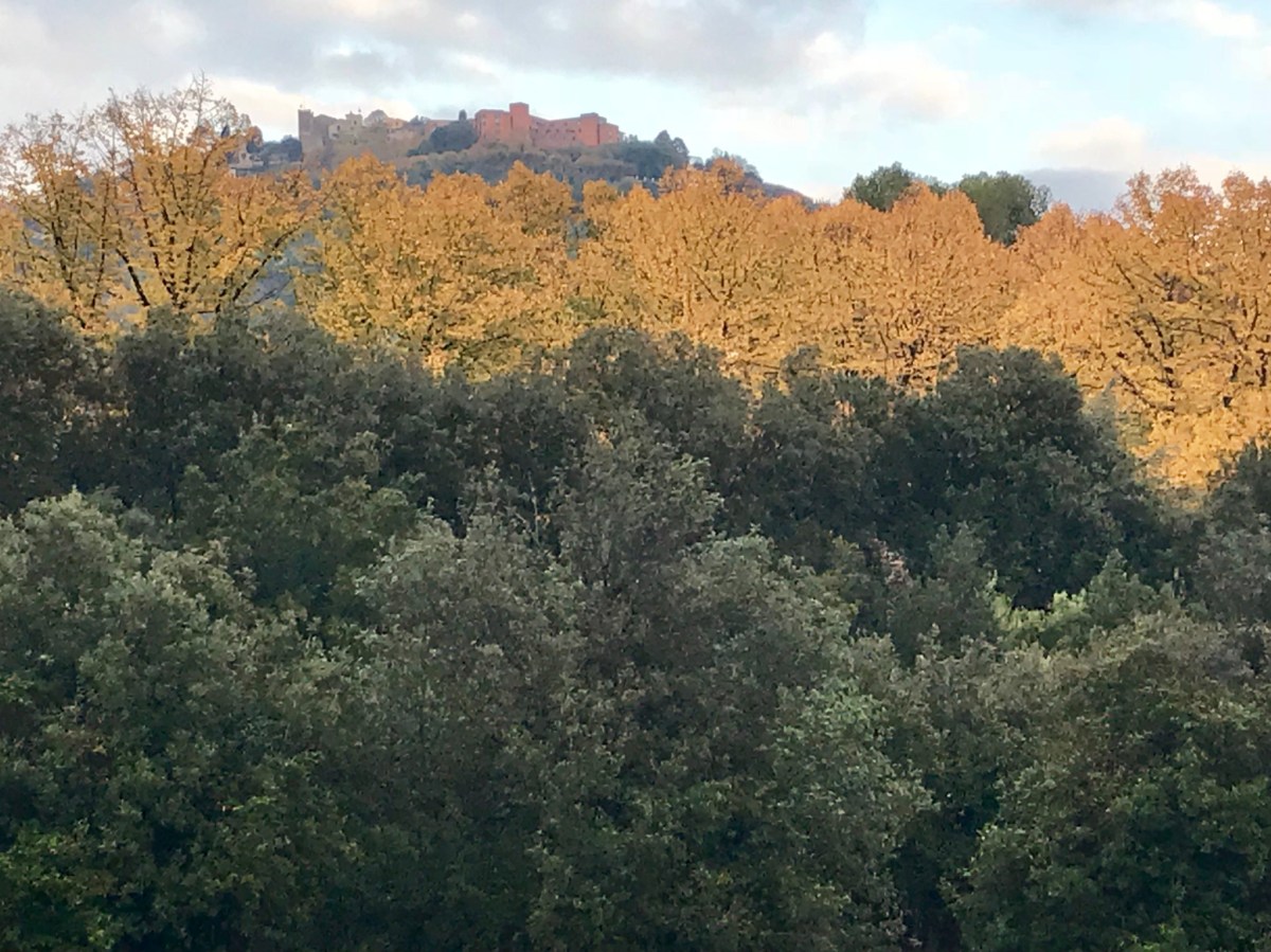 86A90670-6554-454C-94C8-1C410AE29B7C